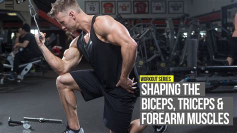 Shaping The Arm Biceps Triceps And Forearms Youtube
