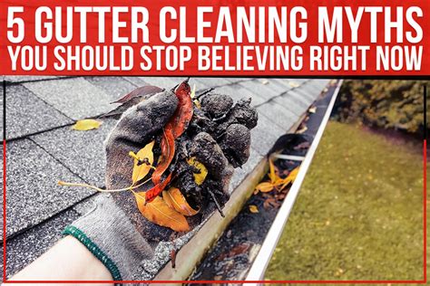 5 Gutter Cleaning Myths You Should Stop Believing Right Now Palmer