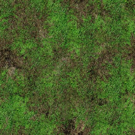 Jungle Grass Texture