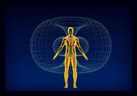 The New Science Of Human Energy Fields