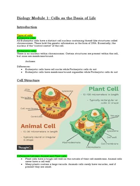 Biology Module 1 Cells As The Basis Of Life Pdf Cell Biology