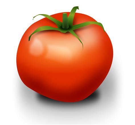 Free Transparent Tomato Download Free Transparent Tomato Png Images