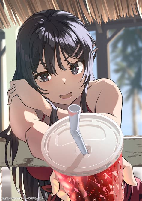 Sakurajima Mai Seishun Buta Yarou Drawn By Raiz Art Works Danbooru