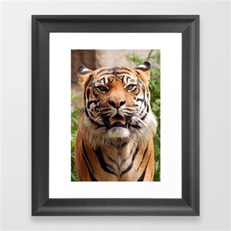 Pin By Perldesign On Home And Living Framed Art Prints Tiger Face