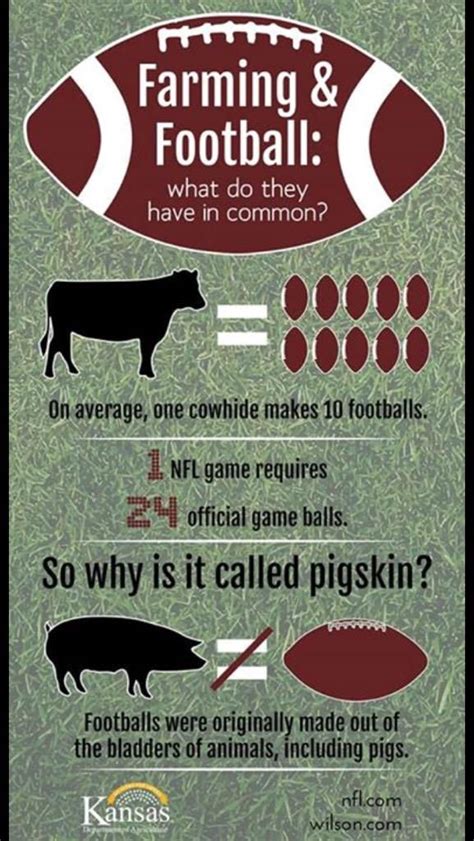 178 best Friday Fun Ag Facts images on Pinterest ...