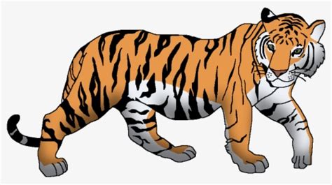 Edit and share any of these stunning tiger clipart. Wildlife Animal Pedia Wiki - Tiger Clipart, HD Png ...