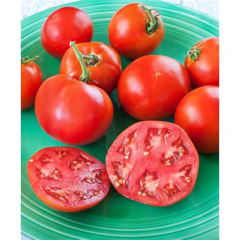 Reviews For Bonnie Plants 232 Qt Bonnie Original Tomato Plant Pg 3