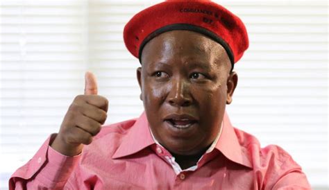 Julius Malema Adamant About South African Land Distribution Guardian