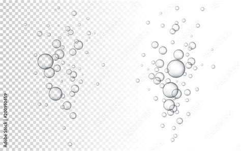 Water Bubbles Vector Illustration Abstract Bubbles White Transparent