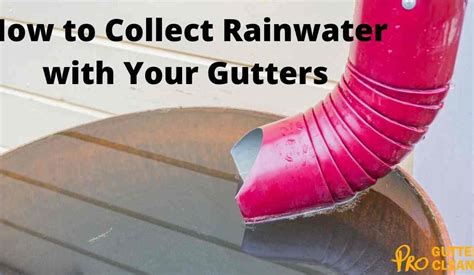 How To Collect Rainwater With Your Gutters Pro Gutter Cleaning