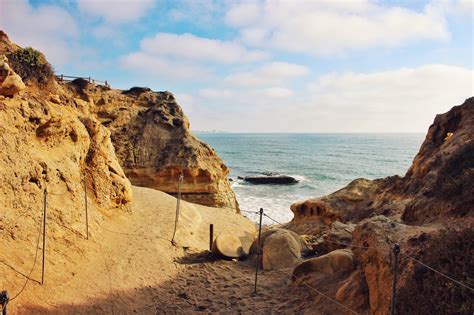 Guided nature tours are offered in the park on saturdays and sundays. Torrey Pines State Natural Reserve | Torrey pines, Hiking ...