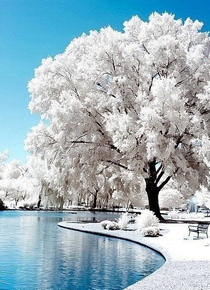 Invierno Scenery Winter Scenes Beautiful Landscapes
