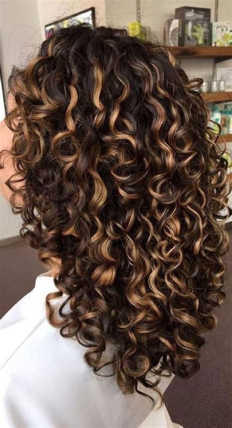 2023 Inspiring Hair Color Ideas For Curly Hair Best Picks