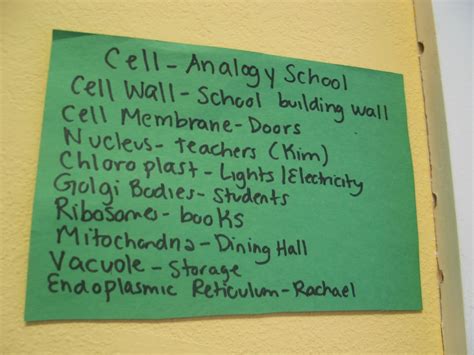 Learning in Place: Plant Cells Models and Metaphors