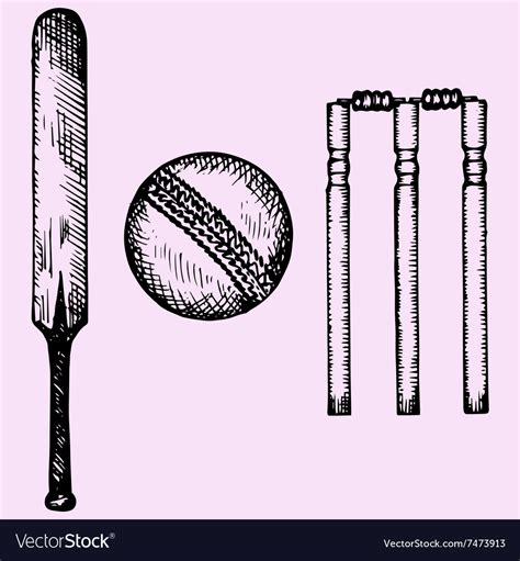 Equipment Cricket Bat Ball Wicket Royalty Free Vector Image