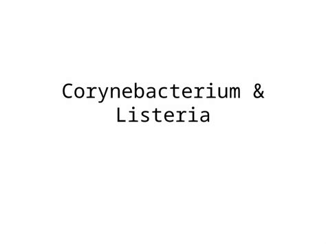 Pptx Corynebacterium And Listeria Corynebacterium Morphology Club