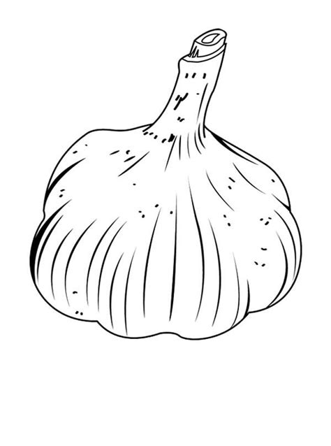 Happy retirement coloring pages free printable: Garlic Vegetables Coloring Page : Kids Play Color