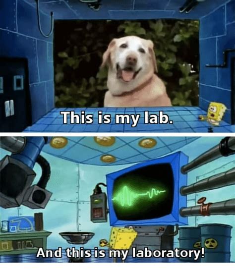 Search Dexter Laboratory Meme Memes On Meme