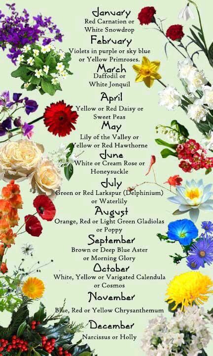Flowers And Months Reference Chart Birth Flowers Flower Meanings