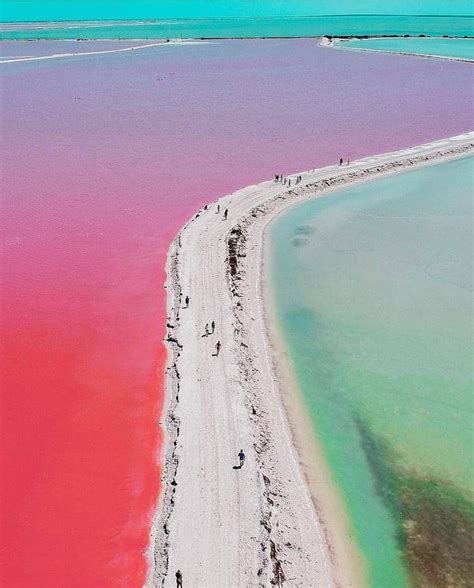 Las Coloradas Pink Lake In Mexico Yucatan Mexico Mexico Pictures