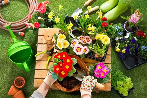 To connect with alberi e fiori., join facebook today. Piantare fiori o alberi basta per ottenere il Bonus Verde ...