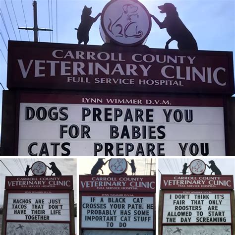 35 Funny Vet Clinic Signs That Brighten Everyones Day Funny Signs