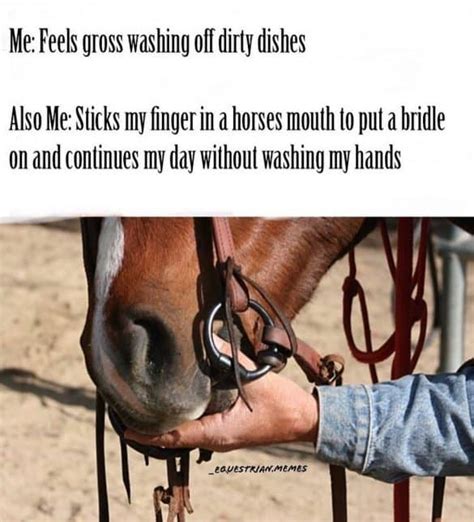 17 Of Our Favorite Equestrian Memes