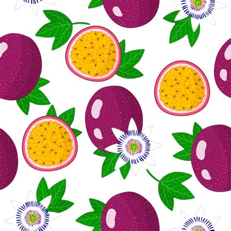 Premium Vector Vector Cartoon Seamless Pattern With Passiflora Edulis