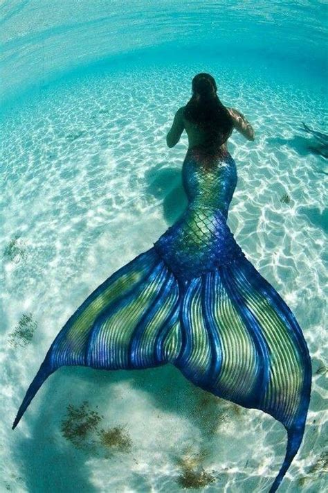 Amazing Marmaid Amazing Sea Look After Both Mermaid Mermaid