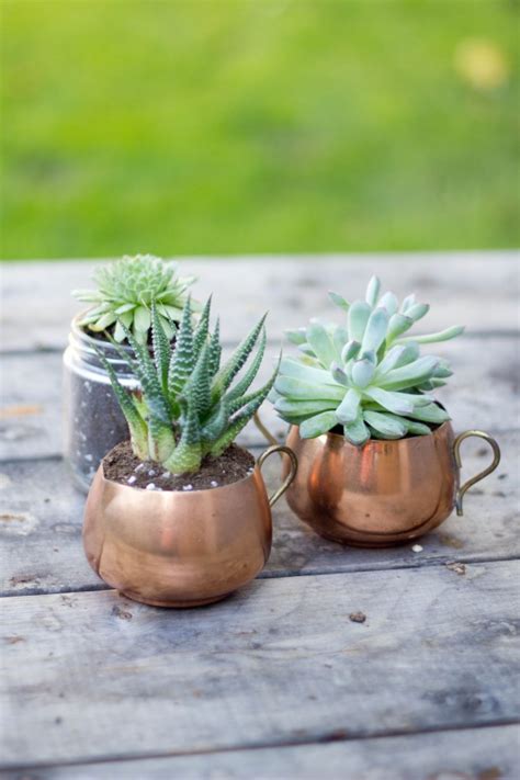 How To Make Mini Succulent And Cacti Gardens In 15 Min