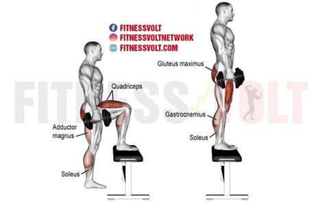 How To Do The Dumbbell Step Up Legs Fitness Volt