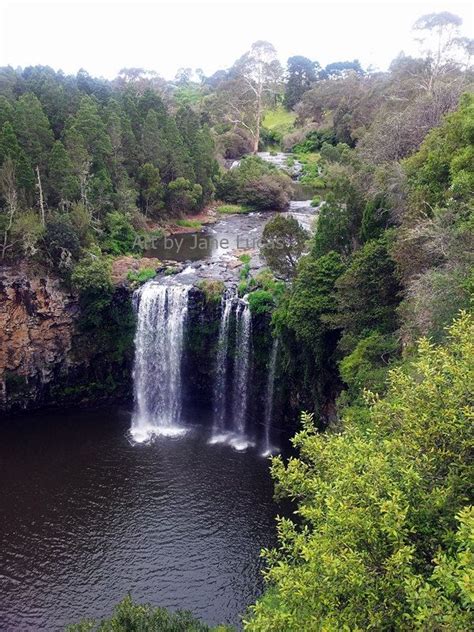 Dangar Falls Dorrigo New South Wales Australia National Park Rain