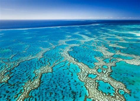 The Top 10 Trips Of A Lifetime Great Barrier Reef Barrier Reef