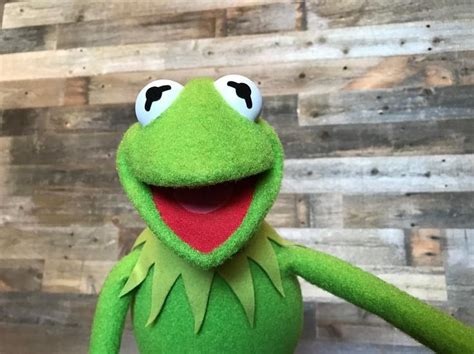 740 Best Kermit The Frog Images On Pinterest Jim Henson