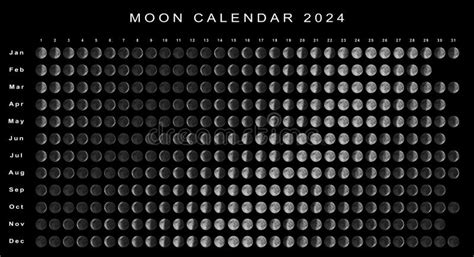 Calendário Da Lua 2024 Hemisfério Sul Ilustração Stock Ilustração De