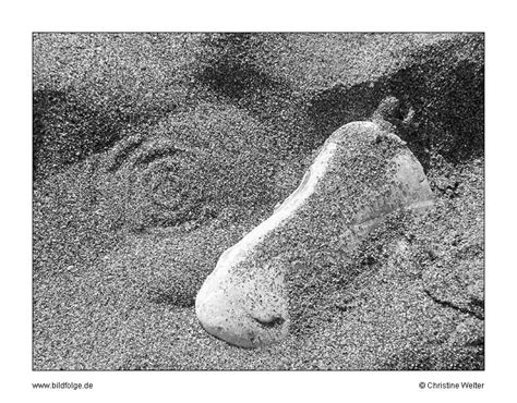 Spuren im sand größe 61 x 91, 5 cm maxiposter günstig auf amazon. Spuren im Sand Foto & Bild | sonstiges, steine & mineralien, natur Bilder auf fotocommunity