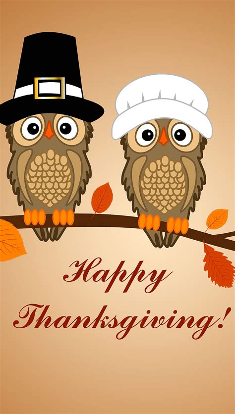 Happy Thanksgiving Autumn Fall Hats Leaves Owls Hd Phone