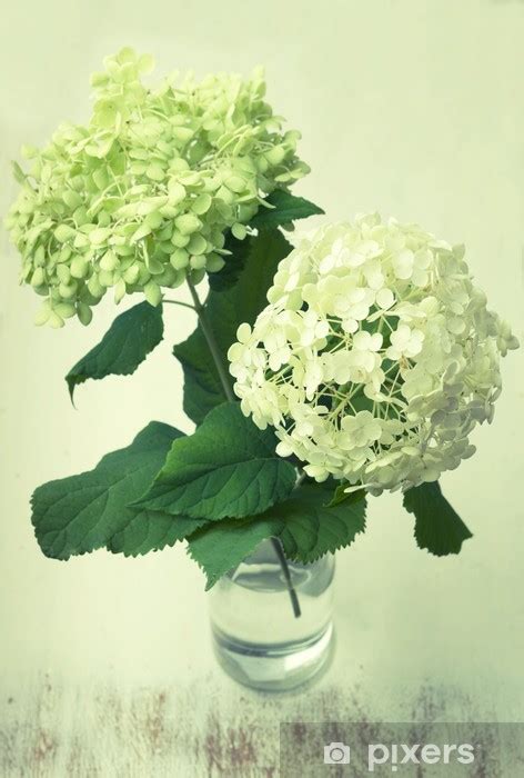 Scarica questo foto premium su fiori bianchi in vaso e scopri oltre 8 milioni di foto d'archivio professionali su freepik Fiori Bianchi Vaso : Vaso Di Vetro Cubico Di Rose Rosa ...