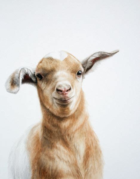 20 Best Realistic Art Farm Animals Images In 2019 Animal Paintings