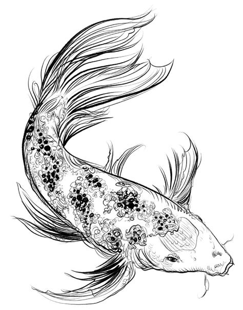 Koi Fish Fish Illustration Koi Fish Koi