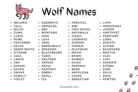 350 Wolf Names Outstanding Ideas For Your Brave Lil Friend