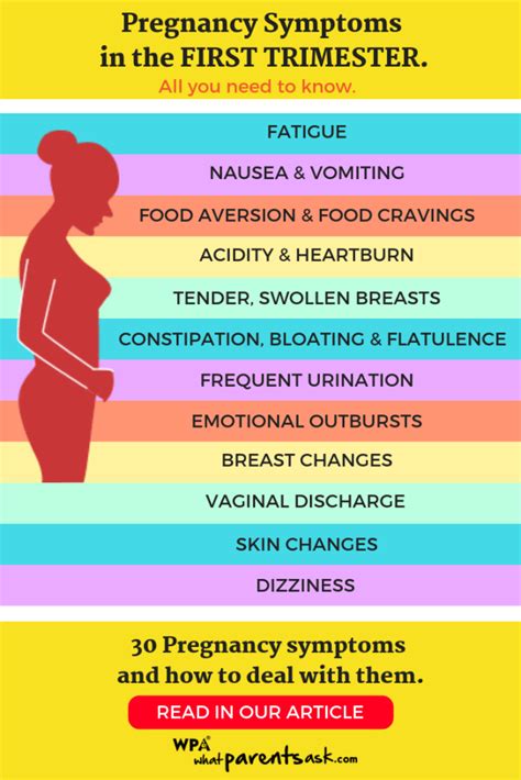 List Of Bloating During Pregnancy Second Trimester Insight Pregnancy Symptoms