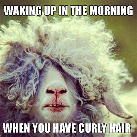 22 Memes That Are Way Too Real For People With Curly Hair Hair Humor
