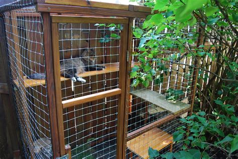 Easy Diy Cat Enclosure Cuckoo4design