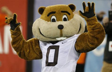 Goldy Gopher Smiles Then Steamrolls Youth Footballer The Seattle Times