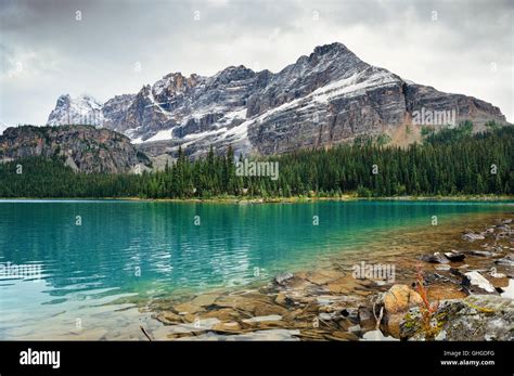 Lake Ohara Yohu National Park Canada Stock Photo Alamy