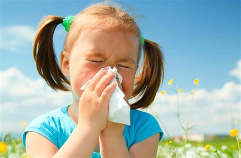 Spring Allergies In Children Pediatric Associates Of Franklin