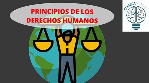 Principios Que Rigen Los Derechos Humanos Youtube