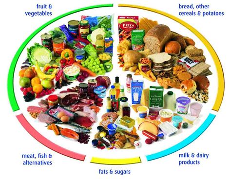Nutrition Nutritious Food Types Information