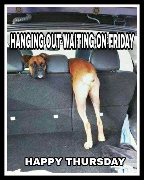 Happy Thursday Funny Animal Jokes Funny Dog Pictures Funny Animal Memes